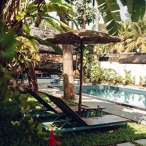  Bed & Breakfast Paddlecult Surf Retreat India